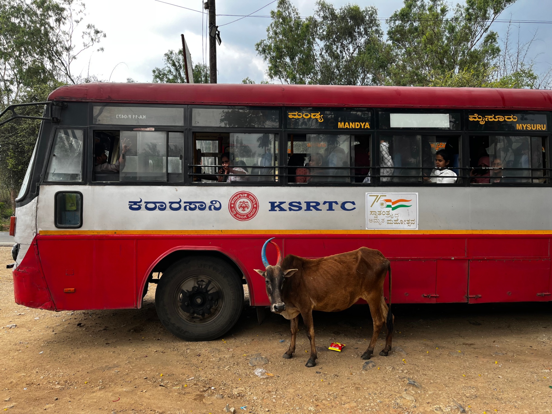South India: The Grand Loop — 10